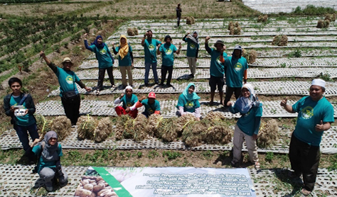Organic Fertilizer laden with local discernment, New Hope for Sembalun Agriculture