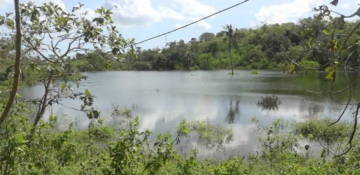 Fenomena Alam “Danau Baru” di Kupang, Simak Penjelasan Ilmiah Ahli Geologi FMIPA UI
