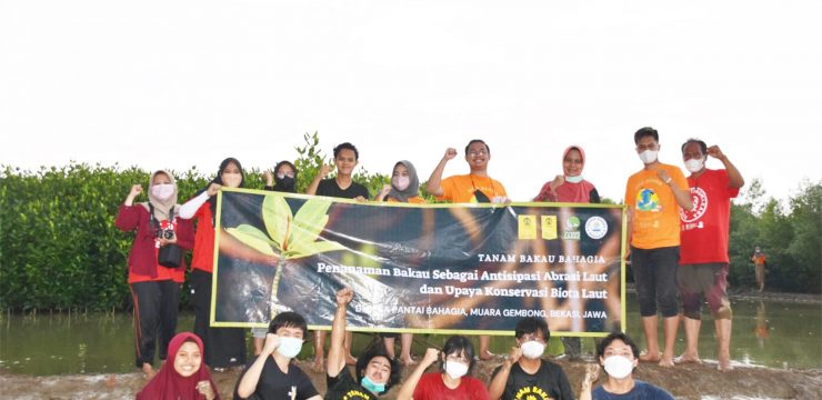 Tim FMIPA UI Bantu Cegah Abrasi dan Pelestarian Biota Laut di Bekasi
