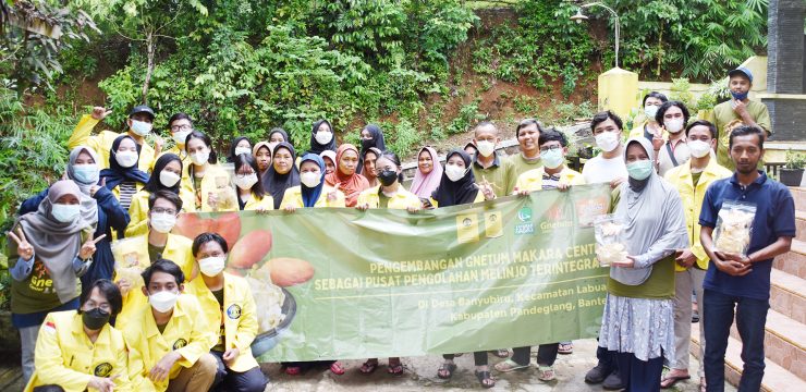 FMIPA UI Bantu Kembangkan Desa Banyubiru Sebagai Sentra Pengolahan Melinjo di Banten