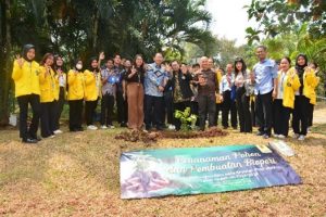 segenap pimpinan fakultas yang tergabung dalam acara PSAF melakukan kegiatan penanaman pohon di lingkungan kampus